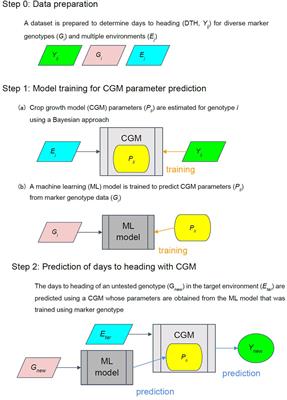 Predicting Rice Heading Date Using an Integrated Approach Combining a Machine Learning Method and a Crop Growth Model